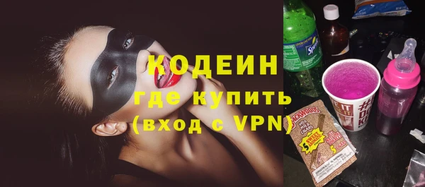 стафф Гусев