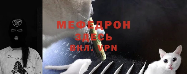 стафф Гусев