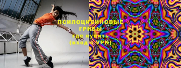 дурь Горнозаводск
