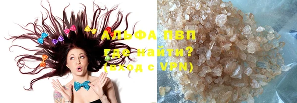 стафф Гусев